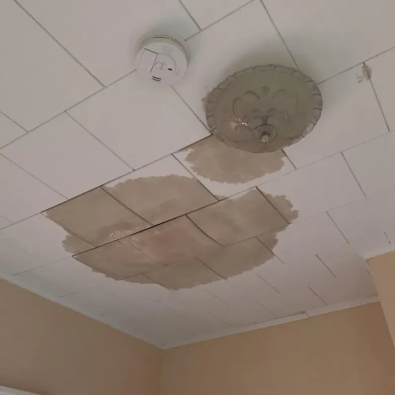 Ceiling Water Damage Repair in Whitley County, IN