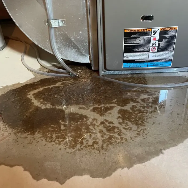 Pipe Burst and Leak Restoration in Whitley County, IN