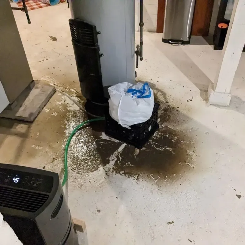 Sewage Backup Cleanup Service in Whitley County, IN